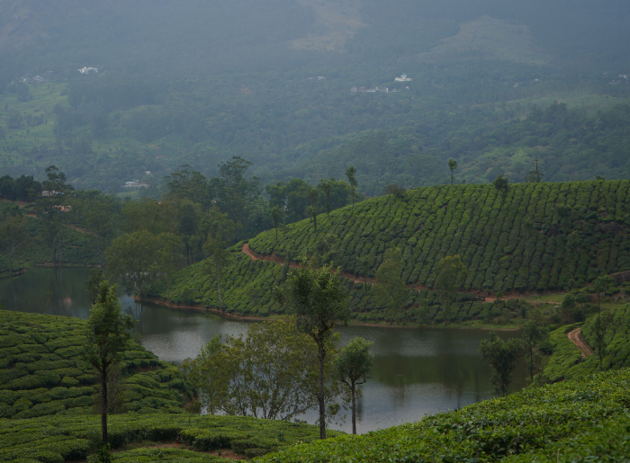 Best Time To Visit Pathanamthittam