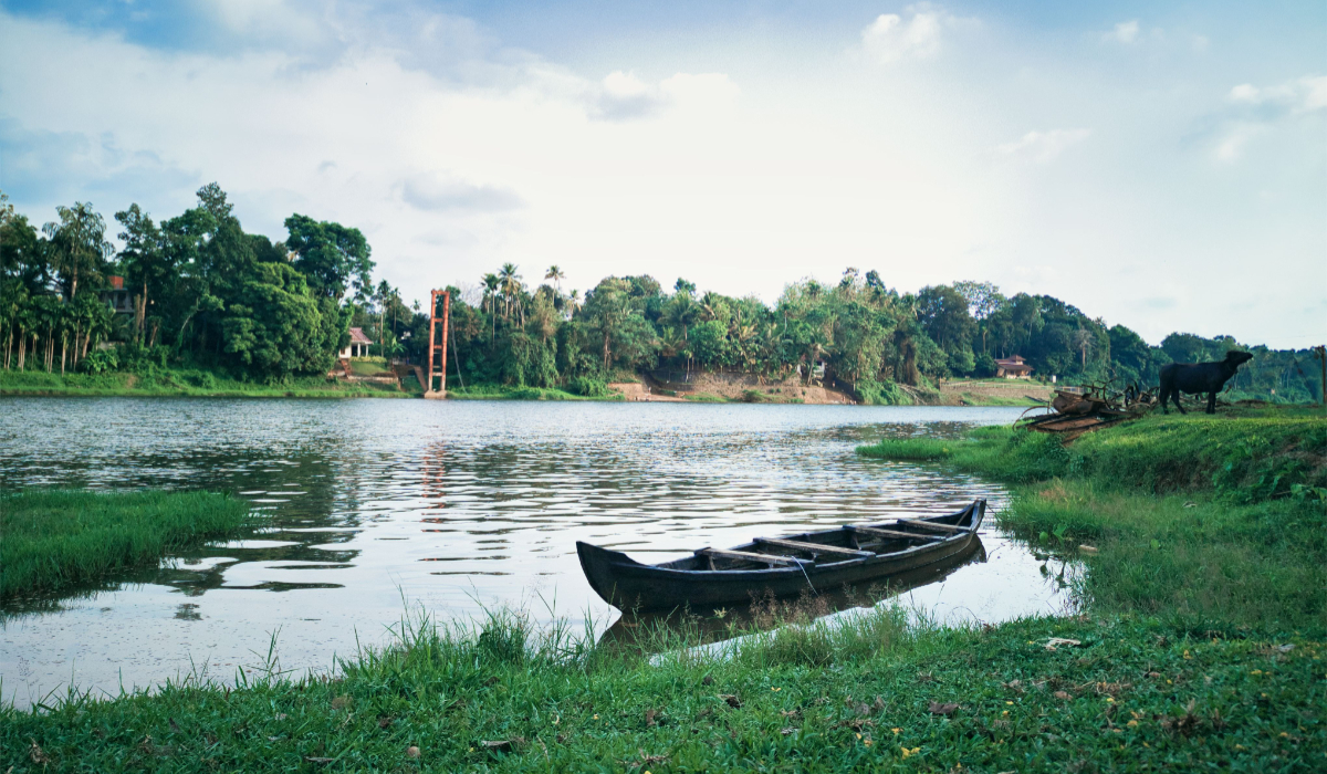 Best Time To Visit Wayanad