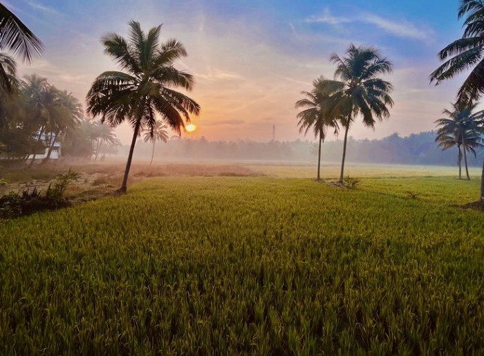 Complete Palakkad Travel Guide