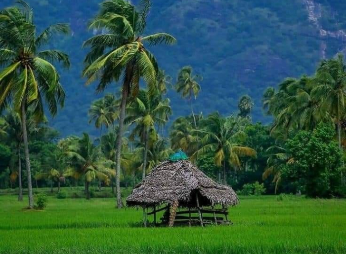 Complete Palakkad Travel Guide
