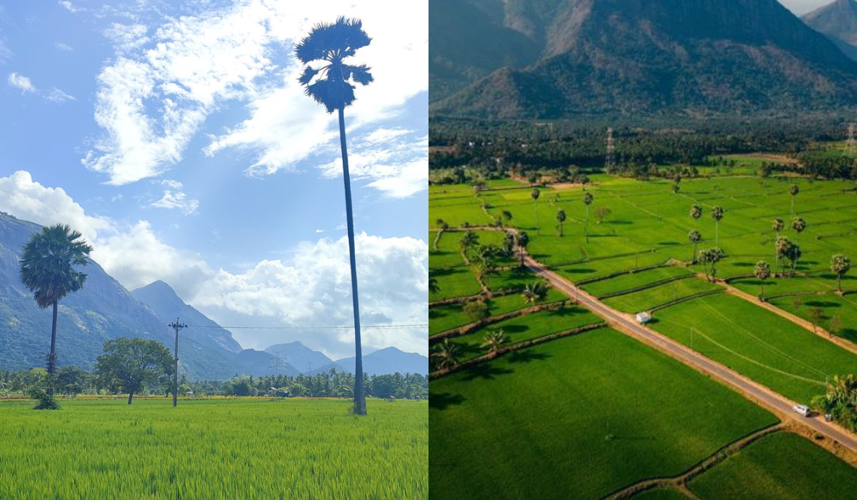 Complete Palakkad Travel Guide