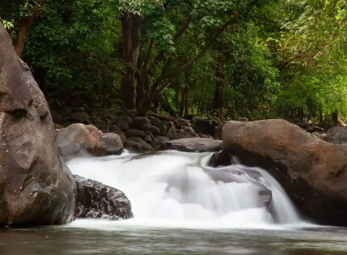 From Where To Stay To Places & Food Options, Here’s How You Can Plan A Trip To Malappuram 4 Complete Travel Guide To Malappuram