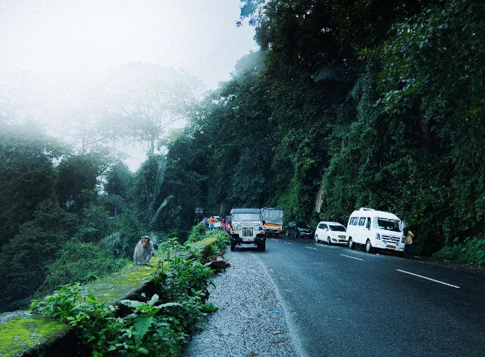 Wayanad With Family: Kid-Friendly Places & Safe Stays 2 Family-Friendly Places In Wayanad
