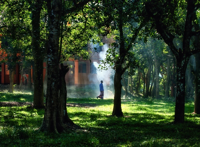 Wayanad With Family: Kid-Friendly Places & Safe Stays 1 Family-Friendly Places In Wayanad