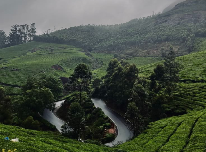 10 Hidden Places Near Munnar That Most Tourists Miss (Including 5 Beautiful Villages) 4 Hidden Places To Visit Near Munnar