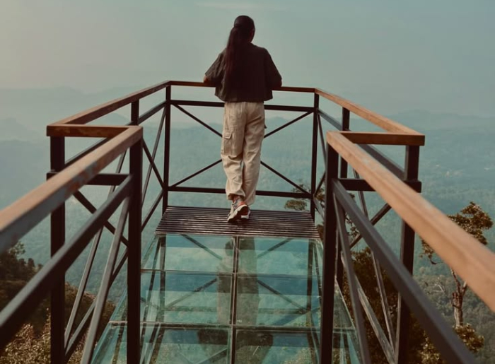 Glass Bridges In India: Complete List By State 6 Glass Bridges in India