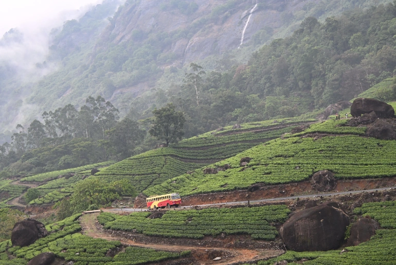 How To Reach Idukki: Flight, Train & Road Options 2 How To Reach Idukki