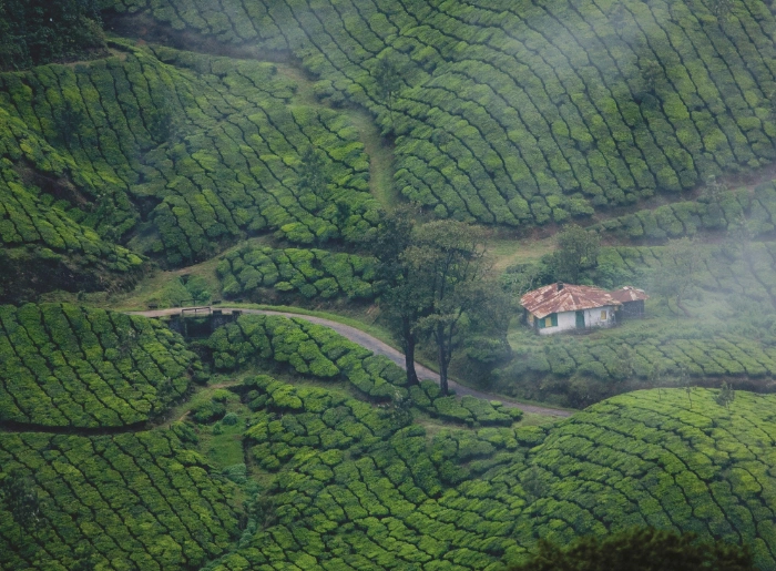 How To Reach Munnar