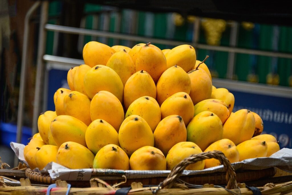 Delhi Mango Festival