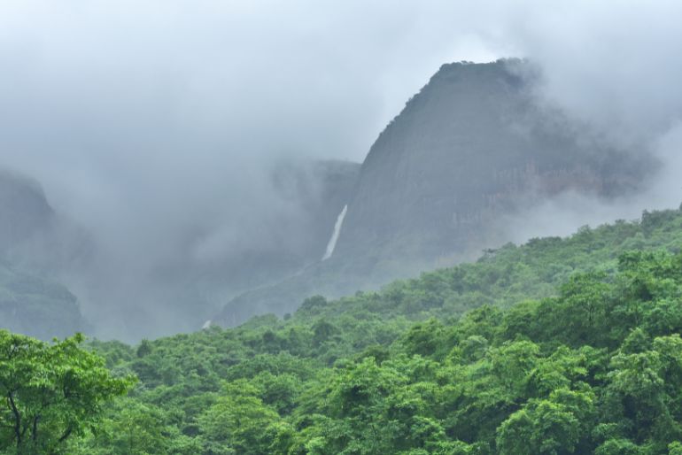 Monsoon Treks Near Pune Mumbai (1)
