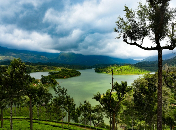 Munnar 3 Days 2 Nights Itinerary: Complete Day-Wise Plan 2 Munnar 3 Days 2 Nights Itinerary