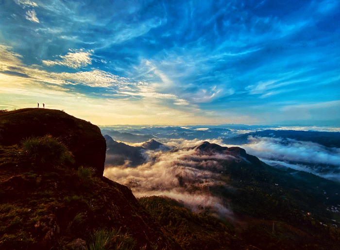 Places To Visit In Munnar