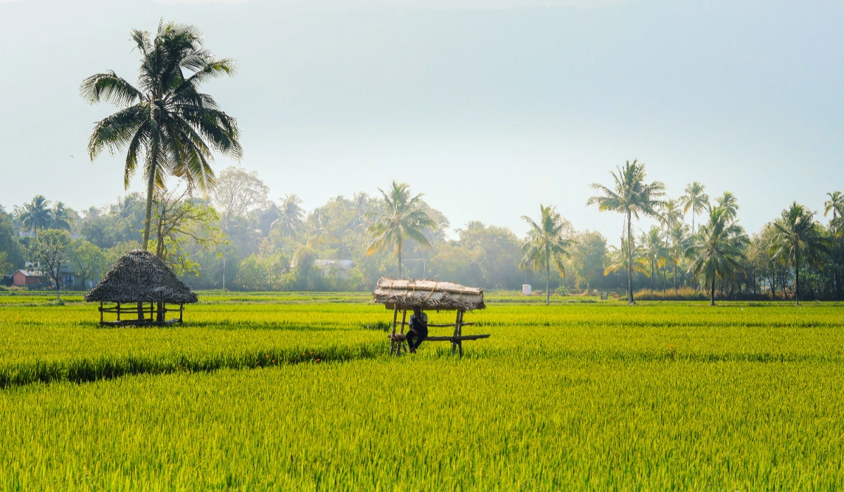 Places To Visit In Palakkad