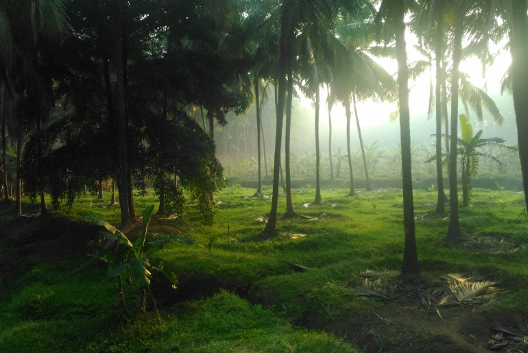 Top 10 Places To Visit In Palakkad 2 Places To Visit In Palakkad