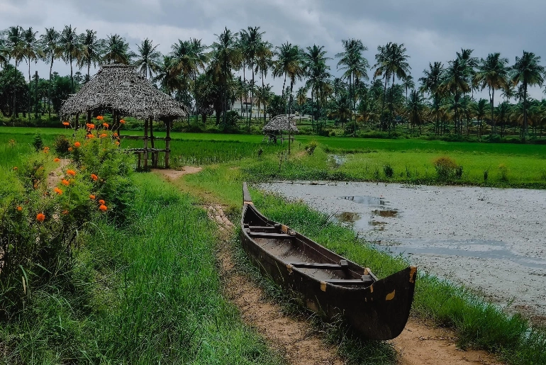 Top 10 Places To Visit In Palakkad 3 Places To Visit In Palakkad
