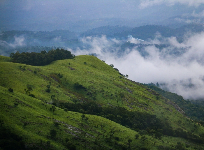 Top 10 Places To Visit In Wayanad You Shouldn't Miss 2 Places To Visit In Wayanad