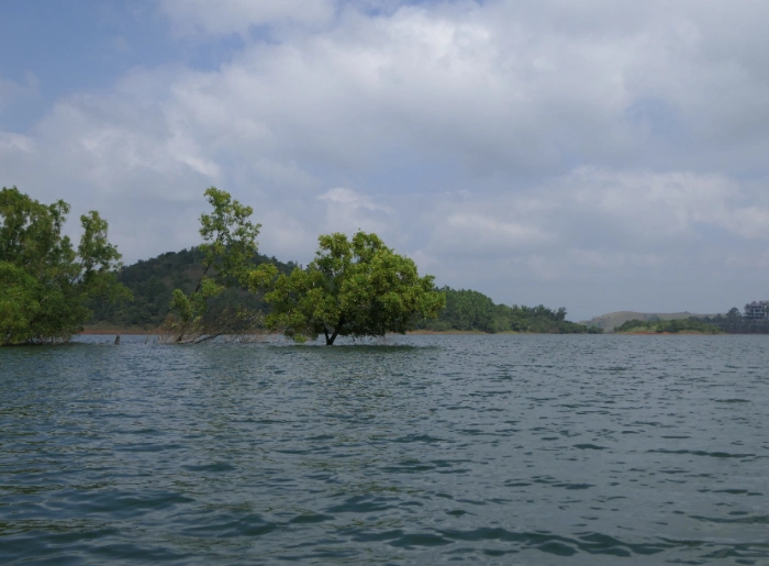 Top 10 Places To Visit In Wayanad You Shouldn't Miss 1 Places To Visit In Wayanad