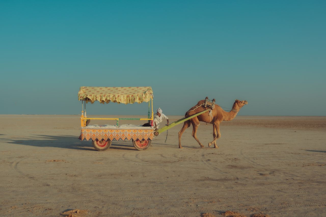 Rann Utsav 2026