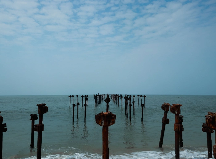 Travel Guide To Alappuzha