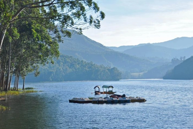 Travel Guide To Idukki 
