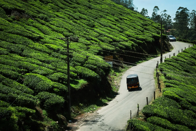 Travel Guide To Idukki 