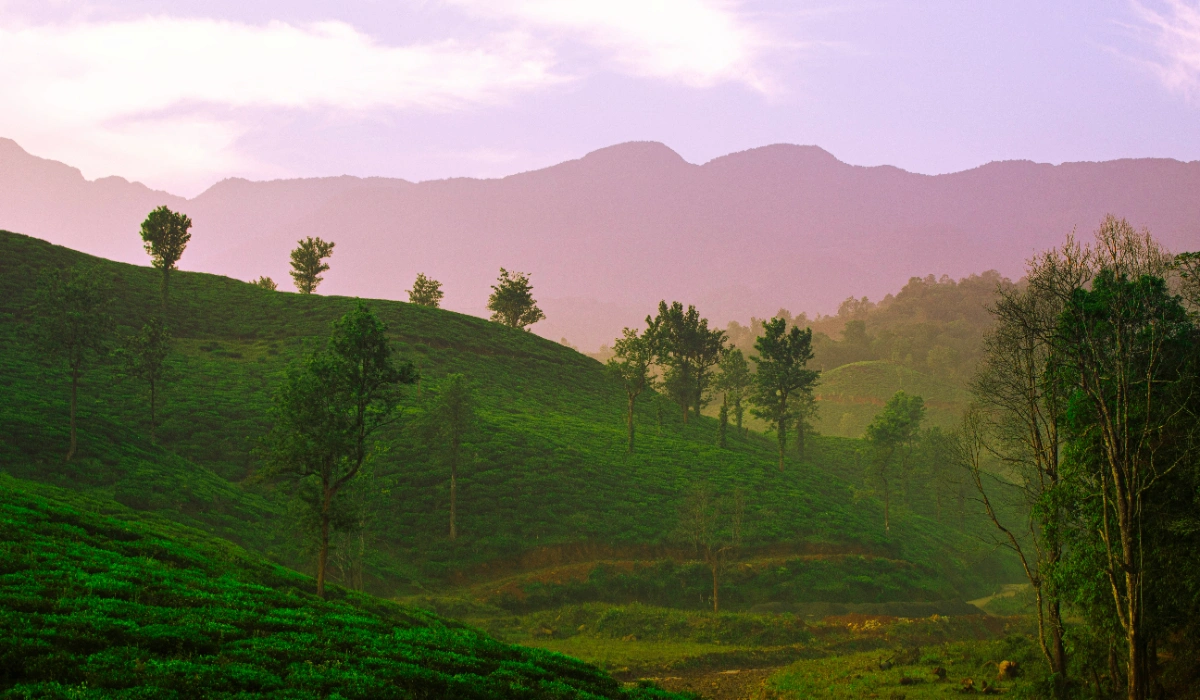 Wayanad 3 Days 2 Nights Itinerary