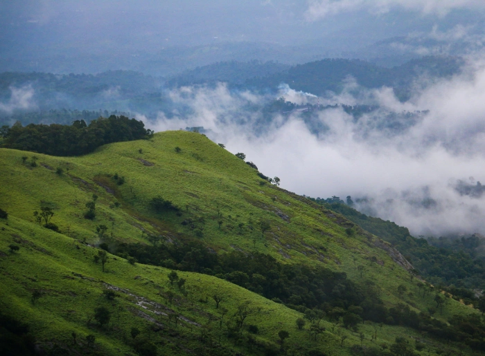 Wayanad 3 Days 2 Nights Itinerary