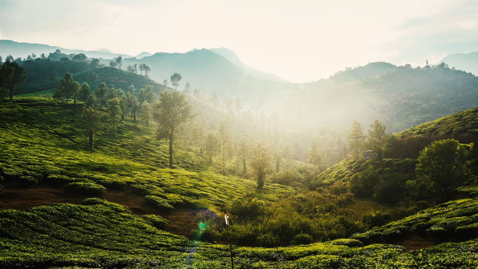 Wayanad 3 Days 2 Nights Itinerary