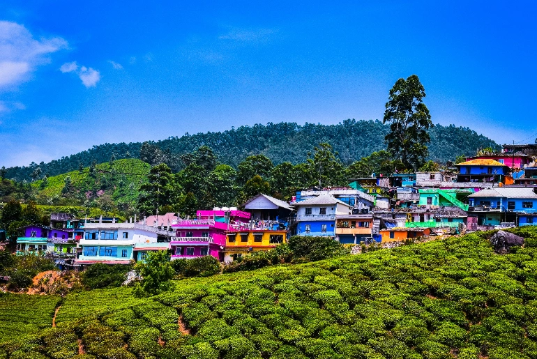 Where To Stay In Idukki: Area-Wise Guide For Every Budget 1 Where To Stay In Idukki