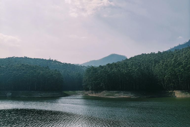 best time visit munnar