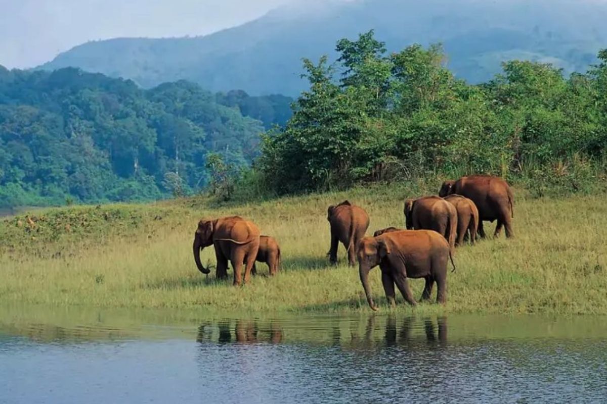 complete travel guide thekkady