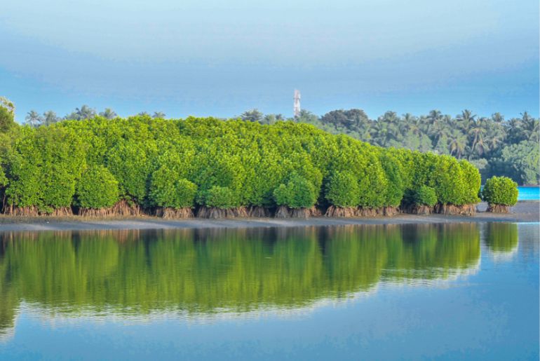 How To Reach Kannur: Flight, Train, And Road Travel Guide 2 how to reach kannur