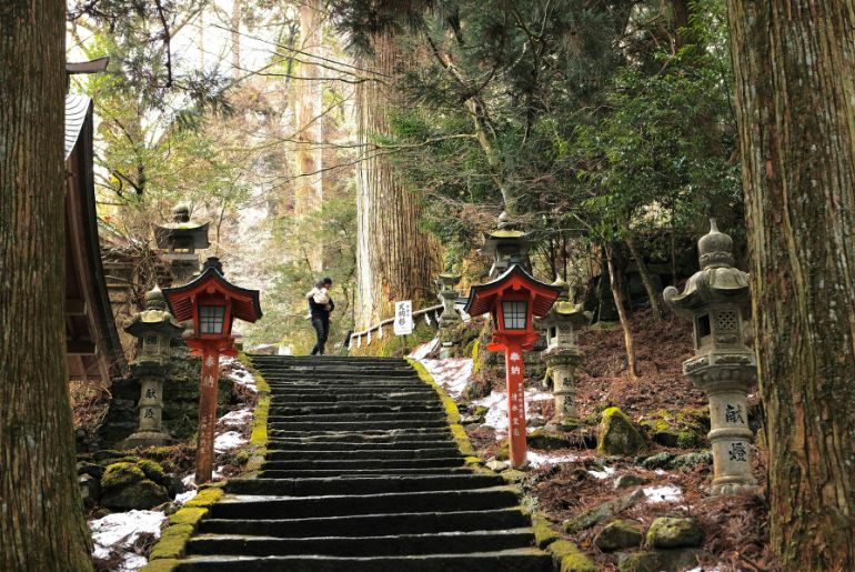 japan budget-friendly indians