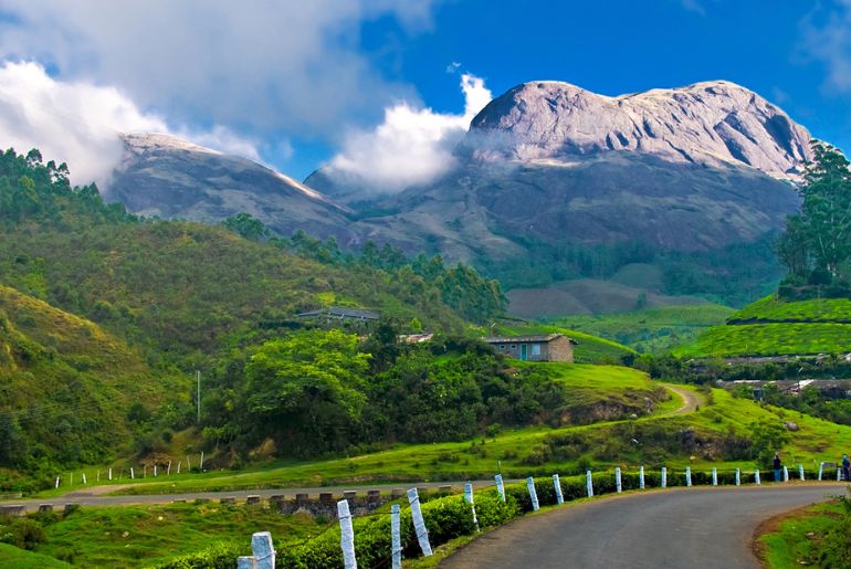 Munnar Travel Guide: Tea Estates, Top Hill Stations & Best Time To Visit 2 munnar travel guide
