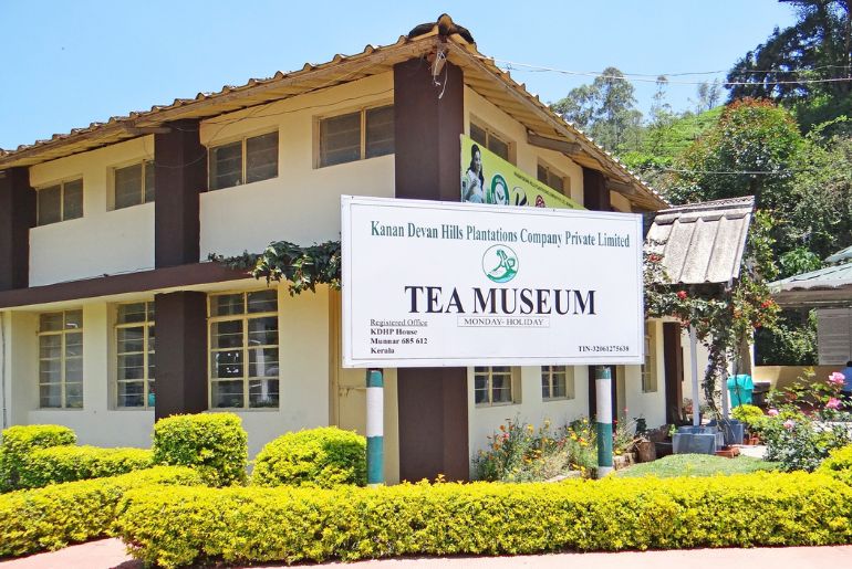 Munnar Travel Guide: Tea Estates, Top Hill Stations & Best Time To Visit 1 munnar travel guide