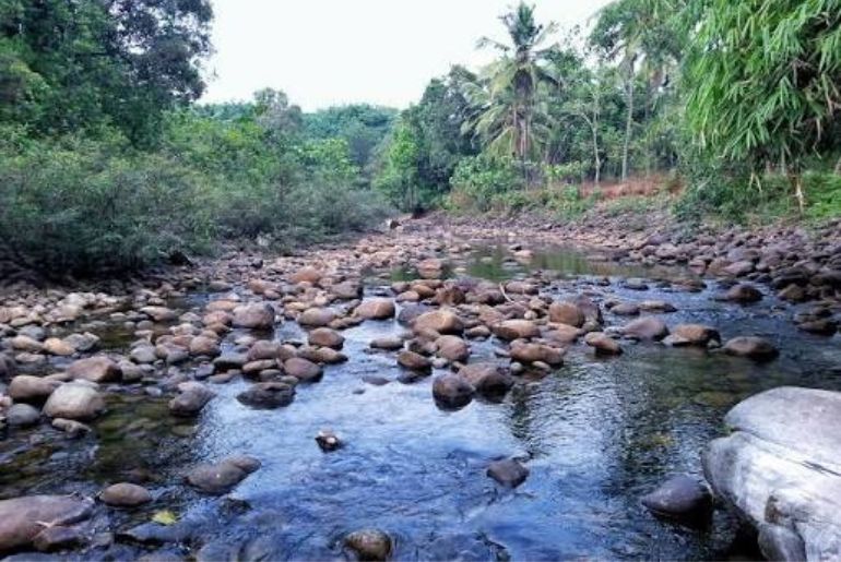 stay in kozhikode