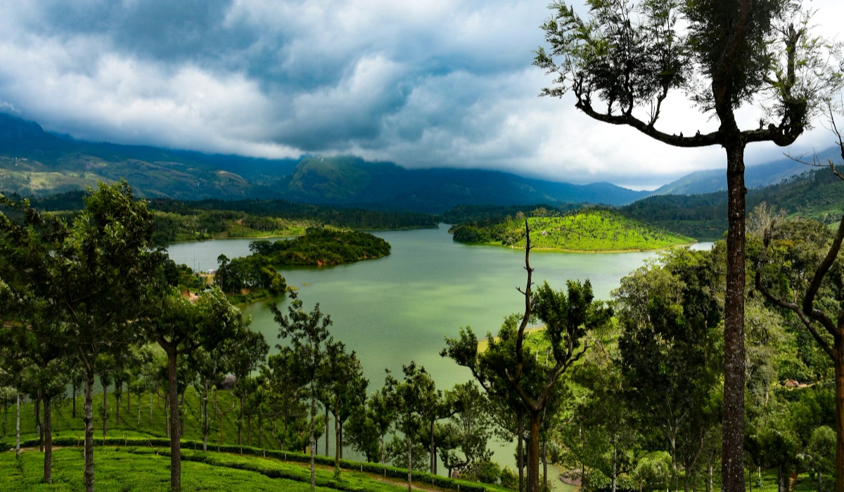 How To Explore Wayanad? Here’s Your Guide To Kerala’s Offbeat Location