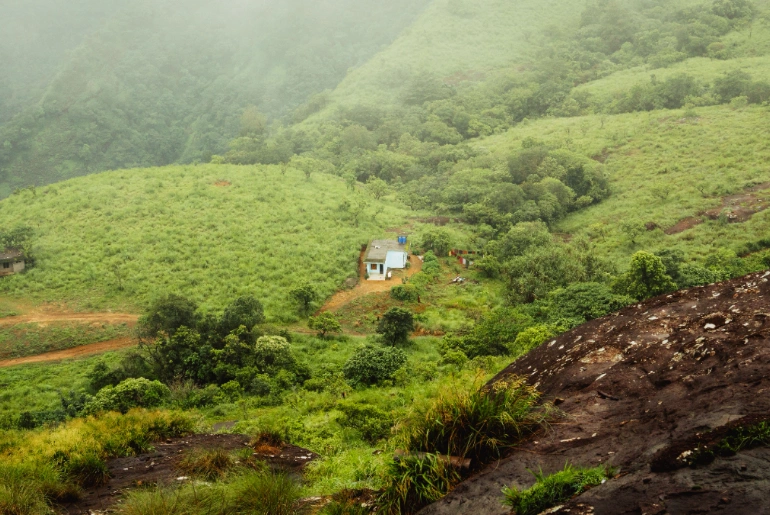Travel Guide To scenic hill station of Wayanad Travel Guide To scenic hill station of Wayanad
