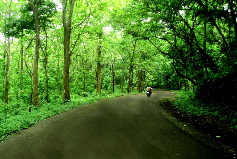travel guide to wayanad