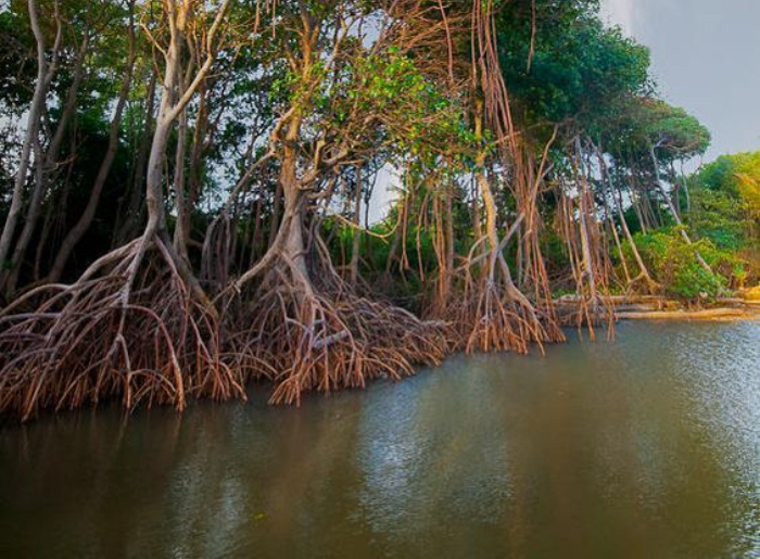 Long Weekend Getaways From Major Indian Cities 10 Independence Day Long Weekend Getaways