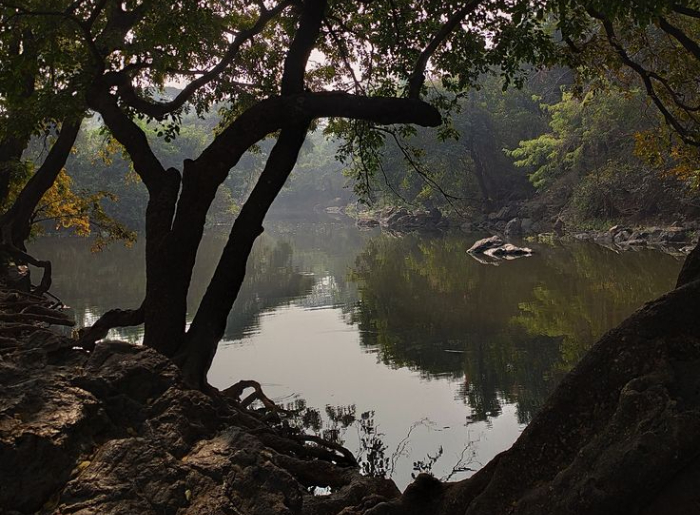 Kanheri To Gaimukh Nature Trail Guide