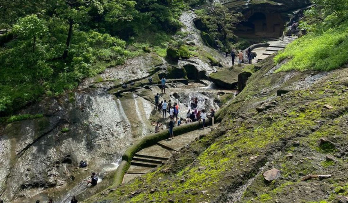 Kanheri To Gaimukh Nature Trail Guide