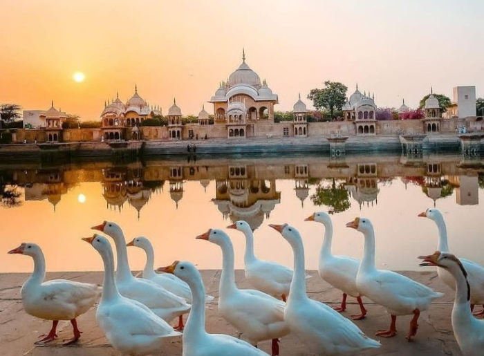 Mathura Travel Guide