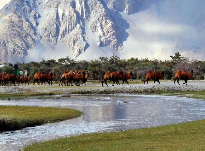 India’s 10 Best National Parks To Visit In September 2026 2 Best National Parks To Visit In India