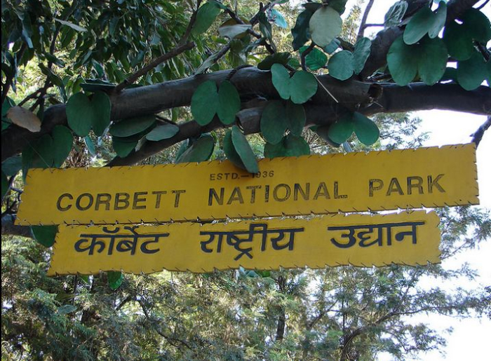 India’s 10 Best National Parks To Visit In September 2026 8 Best National Parks To Visit In India