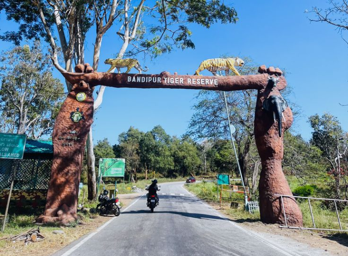 India’s 10 Best National Parks To Visit In September 2026 6 Best National Parks To Visit In India