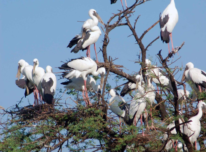 India’s 10 Best National Parks To Visit In September 2026 10 Best National Parks To Visit In India