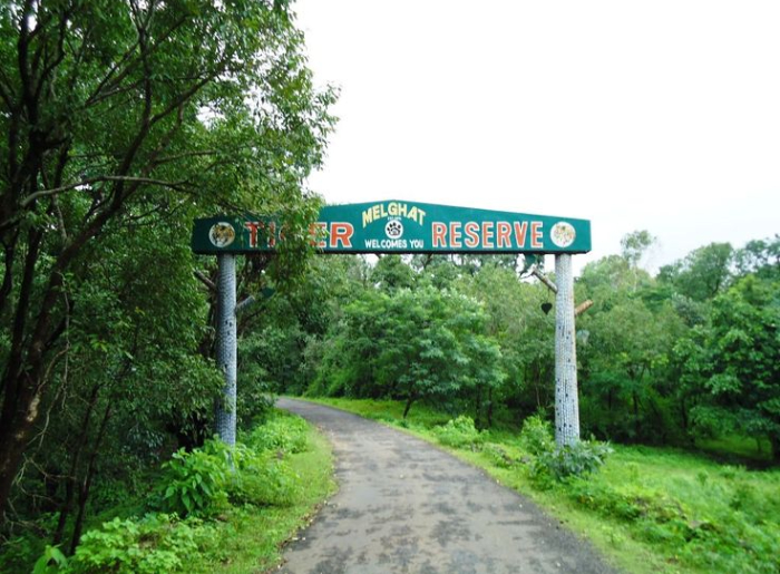 India’s 10 Best National Parks To Visit In September 2026 9 Best National Parks To Visit In India