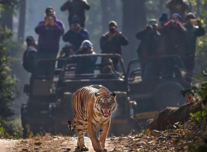Where Should You Travel In India In October 2026? 10 Destinations To Put On Your List 6 Best places to visit in India in October 2026
