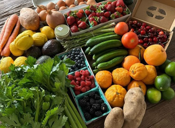 Healthy food tips for staying fit while traveling